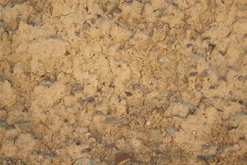 TEXTURE 344