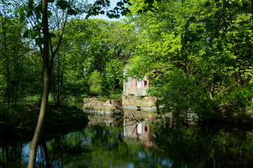 city park on a sunny day