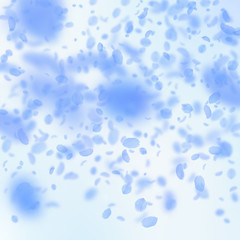 Dark blue flower petals falling down. Perfect roma