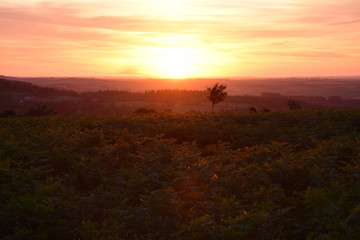 Obraz na płótnie Canvas Sunset On the Moor 