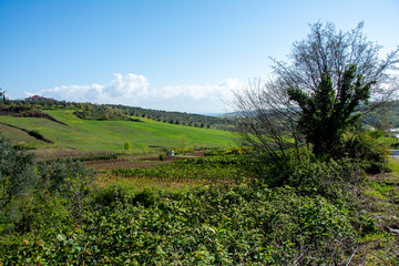 Naklejka premium open land landscapes