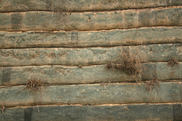 TEXTURE 354