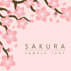 Sakura Cherry Blossom Japanese Theme Background, vector illustration, design for invitation, fabric, packaging, postcard, greeting cards