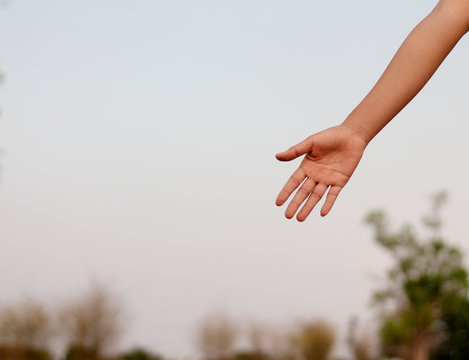 Women spread their arms in the midst of nature in the evening.