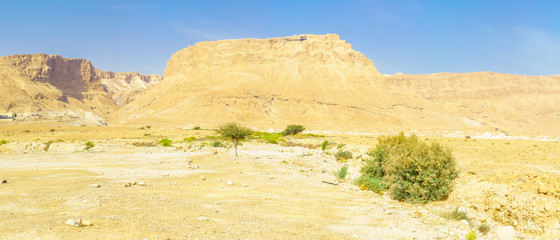 Panoramic view of the Masada fortress and the Judean Desert