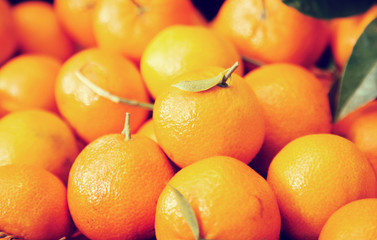 Closeup of ripe mandarins