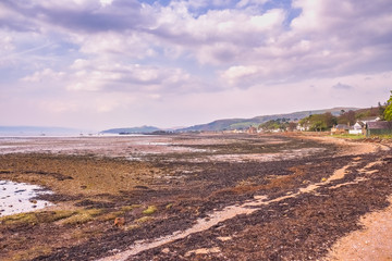 Fairlie Foreshore with Lots of Colourful Seaweed and Shingle looking Over to Fairlie and largs Scotland