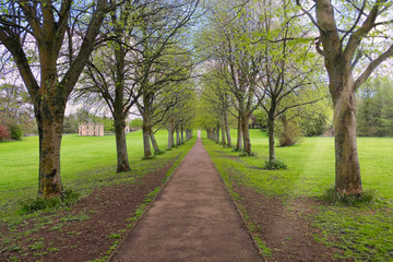 Obraz premium A Tree Lined Footpath in a Scottish Country Park in Irvine North Ayrshire Scotland.
