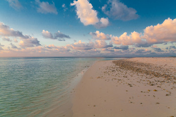 Maldives,  tropical sea background sunset
