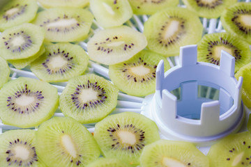 kiwi slices on trays of special electric fruit dryer