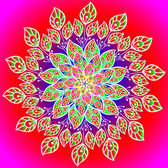 color plant ornamental round pattern on bright background