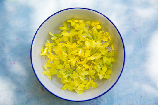 Overhead view of collard green flowers in bowl