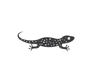 Gecko logo vector icon