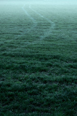 Tire tracks in misty meadow.