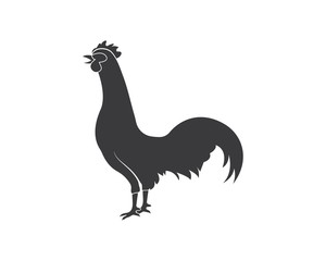 rooster logo vector illustration template