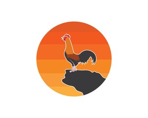 Fototapeta premium rooster logo vector illustration template