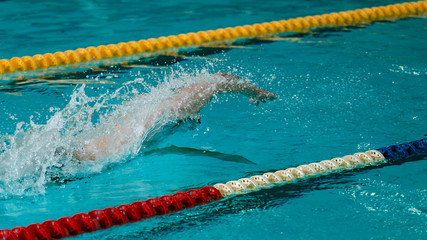 Crawl swimming competitions in the sports pool