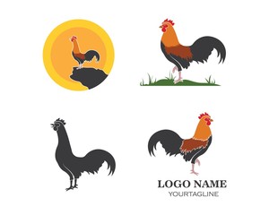 rooster logo vector illustration template