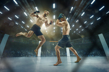 Last moment before winning. Two professional fighters posing on the sport boxing ring. Couple of...