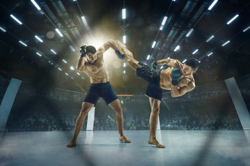 Ready to defend and attack. Two professional fighters posing on the sport boxing ring. Couple of...