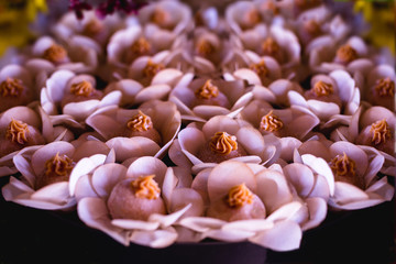 typical Brazilian sweet, mini truffle of dulce de leche, called in Brazil Mini Churros.