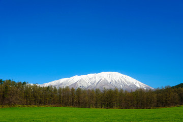 Obraz premium 岩手山と小岩井農場の風景