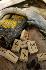 Close-up on the wooden rune of Nautis, which lies on the dry bark of a tree. Near the other runam,...