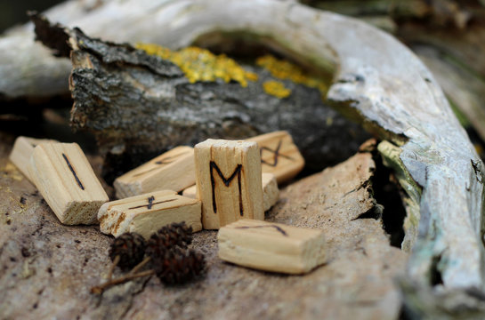 Close-up on the Eyvaz rune which stands among other runes, near dry branches and bark with yellow moss. The concept of mysticism, magic and prediction of the future