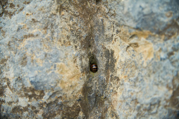 A l'abri dans la roche
