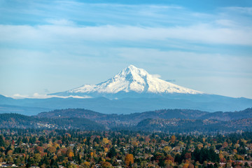 Mt. Hood and Forested Hills - obrazy, fototapety, plakaty