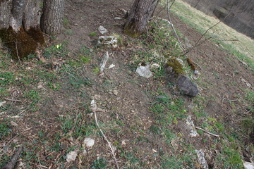The ruins of necropolis near the ancient stone Klek fortress on the hill near Zlatar mountain, Serbia