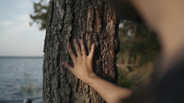 the man touches the tree getting in touch with nature. unity with nature. close-up of a man's hand touching a tree