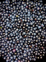  the structure of the blueberry