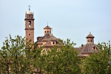 Fototapeta na wymiar Vista del Monasterio de la Cartuja de Granada, España