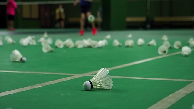 A scene at badminton court, seeing people practicing badminton inside the court. Also seeing many of closeup badminton shuttlecock on the court floor.