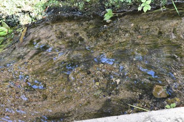 abstract figures in the water