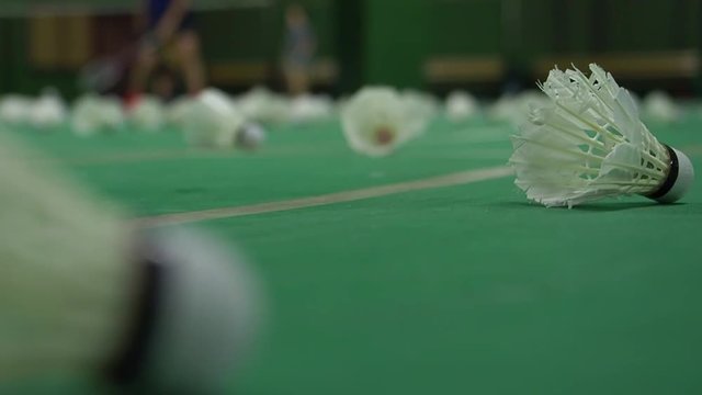 A scene at badminton court, seeing people practicing badminton inside the court. Also seeing many of closeup badminton shuttlecock on the court floor.