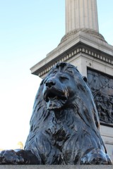 ロンドン　トラファルガー広場　ライオン像