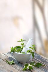 White nettle with mortar and pestle isolated on white background