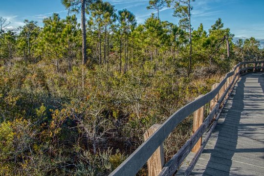 The Gulf Islands National Seashore Is Located In Florida And Mississippi