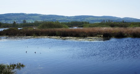 Ems,Fluss,Nordsee,Nordwesten,Westfalen,Papenburg,Kanal,am großen Torfmoor