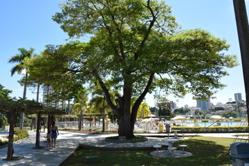 Beach Club - Praia Clube