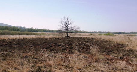 Torfmoor,Moor;Torf;Naturschutzgebiet,sea,lake