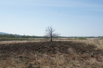 Moor;Torf;Naturschutzgebiet,sea,lake