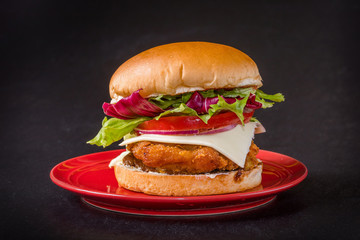 フライトチキン(タツタ)バーガー Fried chicken burger