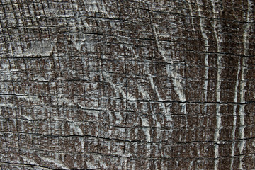 Wooden Pattern Textures. Wooden Texture Background. Natural Backdrop.