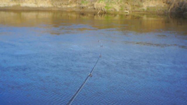 End of the fishing rod is bent from the bite of fish on feeder fishing.1920X1080 Full Hd.	