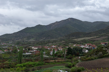 Fototapeta na wymiar Spring in the mountains, fresh green vegetation.