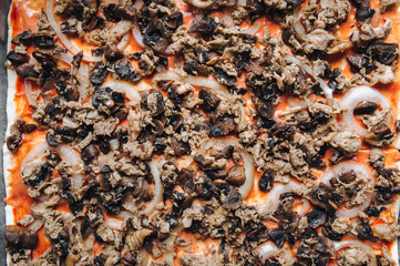 The process of cooking pizza with chicken and mushrooms, onions and tomato paste. Stage of preparation before sprinkling with cheese. Close up, top view.
