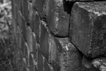 wall